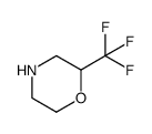 2-TrifluoromethylMorpholine Structure