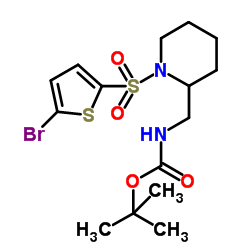 2-Methyl-2-propanyl ({1-[(5-bromo-2-thienyl)sulfonyl]-2-piperidinyl}methyl)carbamate structure