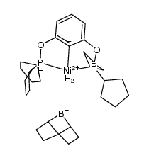 (cyclopentylPOCOP)Ni(μ-H)2(9-borabicyclo(3.3.1)nonane)结构式