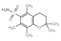 2,2,5,7,8-pentamethyl-3,4-dihydrochromene-6-sulfonamide结构式