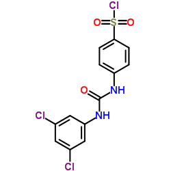 4-[3-(3,5-DICHLORO-PHENYL)-UREIDO]-BENZENESULFONYL CHLORIDE Structure