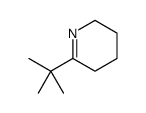 6-tert-butyl-2,3,4,5-tetrahydropyridine structure