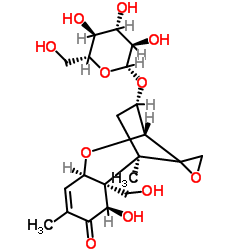 脱氧雪腐镰刀菌烯醇-3-葡萄糖苷 溶液图片