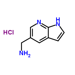 1h-吡咯并[2,3-b]吡啶-5-基甲胺盐酸盐图片