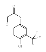 2-CHLORO-N-(4-CHLORO-3-(TRIFLUOROMETHYL)PHENYL)ACETAMIDE picture