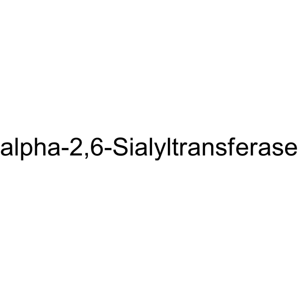 alpha-2,6-Sialyltransferase Structure