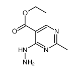 101251-42-7 structure