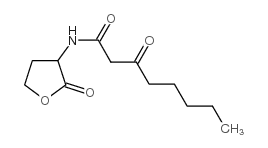 N-(3-氧辛酰基)-DL-高丝氨酸内酯结构式