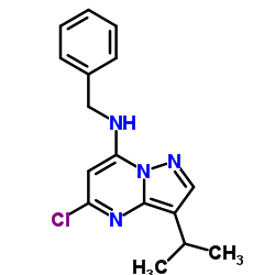 1092443-98-5 structure