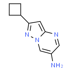 2-Cyclobutylpyrazolo[1,5-a]pyrimidin-6-amine结构式