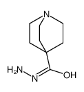 Quinuclidine-4-carbohydrazide Structure