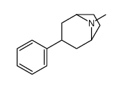 8-Methyl-3-phenyl-8-azabicyclo[3.2.1]octane结构式