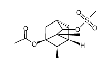 3-acetoxy-4,6-dimethyltricyclo[3.2.1.03,6]octan-7-yl mesylate Structure