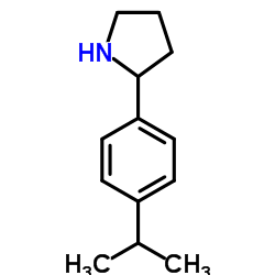 881040-01-3 structure