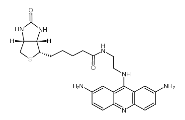 ACRIFLAVIN-BIOTIN CONJUGATE Structure