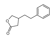 4-(2-phenylethyl)oxolan-2-one Structure