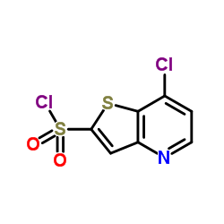 7-Chlorothieno[3,2-b]pyridine-2-sulfonyl chloride Structure