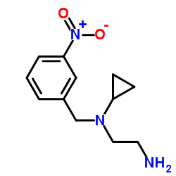 N-Cyclopropyl-N-(3-nitrobenzyl)-1,2-ethanediamine结构式