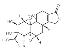 epi-triptolide picture