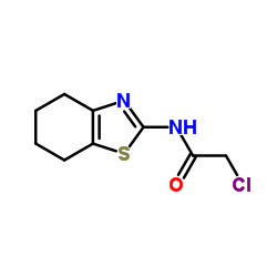 2-CHLORO-N-(4,5,6,7-TETRAHYDRO-BENZOTHIAZOL-2-YL)-ACETAMIDE structure