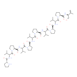 Peptide PV Structure