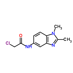 2-CHLORO-N-(1,2-DIMETHYL-1H-BENZOIMIDAZOL-5-YL)-ACETAMIDE picture