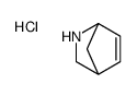 5-azabicyclo[2.2.1]hept-2-ene,hydrochloride structure