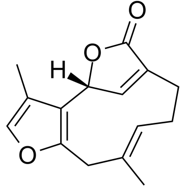 乌药内酯图片