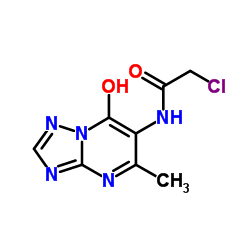 2-CHLORO-N-(7-HYDROXY-5-METHYL-[1,2,4]TRIAZOLO-[1,5-A]PYRIMIDIN-6-YL)-ACETAMIDE Structure