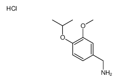 98799-37-2 structure