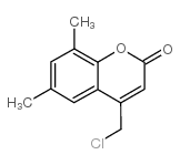 4-CHLOROMETHYL-6,8-DIMETHYL-CHROMEN-2-ONE picture