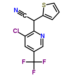 338407-61-7 structure