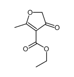 Ethyl 2-methyl-4-oxo-4,5-dihydrofuran-3-carboxylate structure