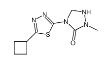 4-(5-cyclobutyl-1,3,4-thiadiazol-2-yl)-2-methyl-1,2,4-triazolidin-3-one结构式