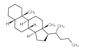 5BETA(H)-CHOLANE structure