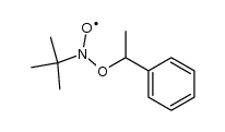 t-butyl-1-methylbenzyloxy nitroxide Structure