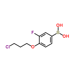 (4-(3-chloropropoxy)-3-fluorophenyl)boronic acid structure