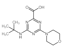 4-tert-Butylamino-6-morpholin-4-yl-[1,3,5]triazine-2-carboxylic acid Structure