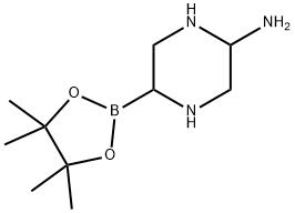 2223009-22-9 structure