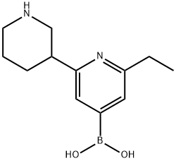 2-Ethyl-6-(piperidin-3-yl)pyridine-4-boronic acid结构式