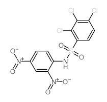 Benzenesulfonamide,2,3,4-trichloro-N-(2,4-dinitrophenyl)- Structure