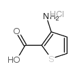 3-AMINOTHIOPHENE-2-CARBOXYLIC ACID HYDROCHLORIDE structure