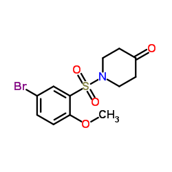 1704081-19-5 structure