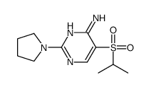 5-异丙基磺酰基-2-四氢-1H-吡咯-1-嘧啶-4-胺结构式