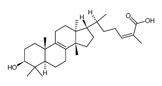 24Z-isomasticadienolic acid结构式