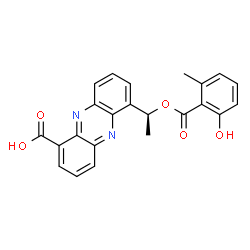 (+)-6-[1-[(2-Hydroxy-6-methylbenzoyl)oxy]ethyl]-1-phenazinecarboxylic acid picture