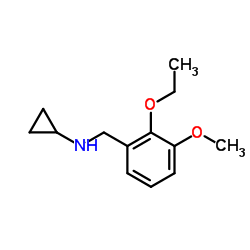 N-(2-Ethoxy-3-methoxybenzyl)cyclopropanamine Structure