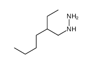 (2-乙基己基)-肼结构式