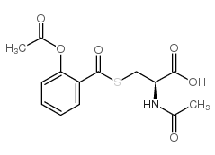 Salmisteine picture