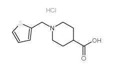 1-(thiophen-2-ylmethyl)piperidine-4-carboxylic acid,hydrate,hydrochloride结构式